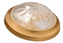 Vera Double-Lamp Luminaire Gold