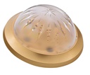 VERA MİDİ ARMATÜR GOLD