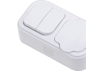 [50-0110] Surface-Mount Switch + Covered Earthed Socket with UPS