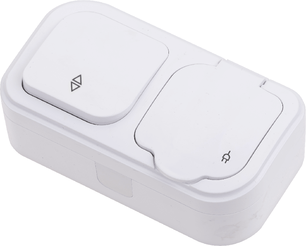 [50-0509] S/M TWO WAY SWITCH + EARTHED SOCKET WITH COVER